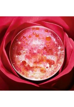 ABSOLUE SOFT CREAM - SCHÜTZENDE TAGESPFLEGE - Gesichtscreme - - 10 ABSOLUE SOFT CREAM - SCHÜTZENDE TAGESPFLEGE - Gesichtscreme - - -Friboo Verkauf Geschaft 0644fd3785804d6987403490ba7af8bd