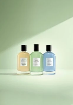 DAVID BECKHAM AROMATIC GREENS - Eau De Parfum - N/a -Friboo Verkauf Geschaft 09956274b9ea459b9705832d28218f26