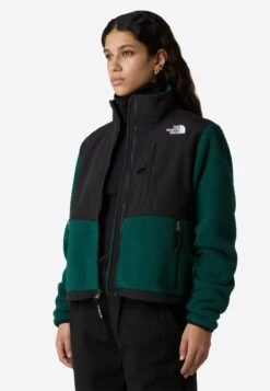 The North Face W RETRO DENALI JACKET - Fleece Jacket - Hunter Green Tnf Black 24 The North Face W RETRO DENALI JACKET - Fleece Jacket - Hunter Green Tnf Black -Friboo Verkauf Geschaft 103ea7ac0ed746658a9eb20880afcb73