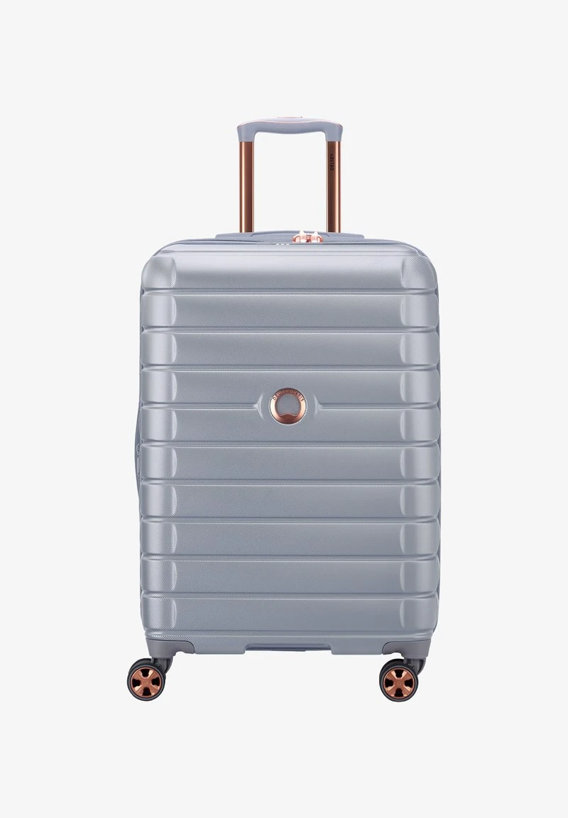 Delsey Paris SHADOW - Trolley - Platin 1 Delsey Paris SHADOW - Trolley - Platin