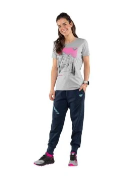 Dynafit ARTIST SERIES - T-Shirt Print - Grau