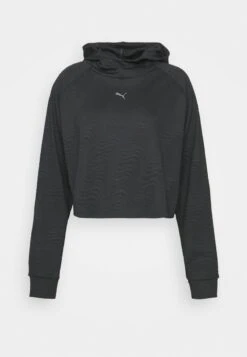 Puma FLAWLESS HOODIE - Sweatshirt - Black -Friboo Verkauf Geschaft 418b94f6f15b4aa6a14052033a6ff8e9 1