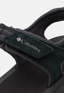 Columbia TRAILSTOR HIKER 2 STRAP - Trekkingsandale - Black/light Cloud 11 Columbia TRAILSTOR HIKER 2 STRAP - Trekkingsandale - Black/light Cloud -Friboo Verkauf Geschaft 65c8add60eb343c5a7acc1cae415c76d
