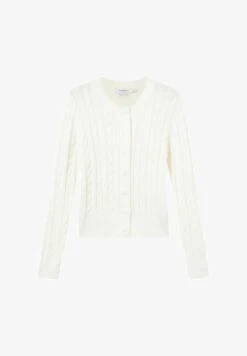 BRAIDED - Strickjacke - Blu -Friboo Verkauf Geschaft 69359f7e26234dd29385b797159872a6