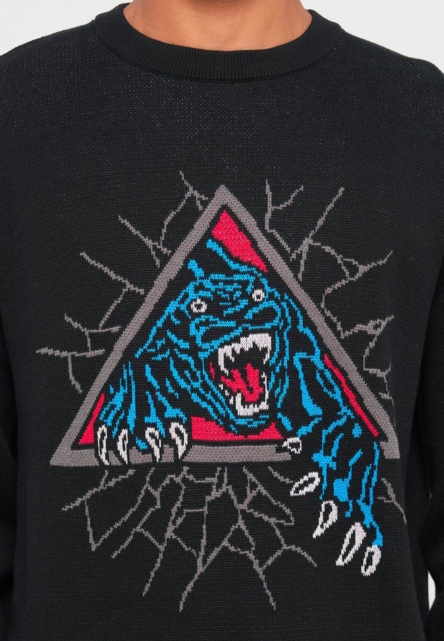 Santa Cruz NATAS PANTHER CREW UNISEX - Jumper - Black 6 Santa Cruz NATAS PANTHER CREW UNISEX - Jumper - Black – Bild 6