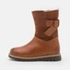 Friboo LEATHER - Stiefel - Cognac