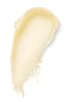 KIEHL'S BUTTERMASK FOR LIPS MASCHERA LABBRA - Lippenbalsam - Transparent -Friboo Verkauf Geschaft 98d1b1e5307945f58733c08e5b566704