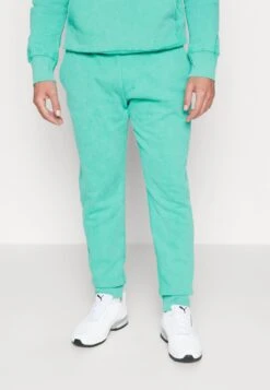 TAPERED PANTS - Jogginghose - Winter Green