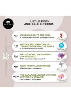 BON ECO CUSHION - Zubehör Körperpflege - Natural -Friboo Verkauf Geschaft a3bc8af4d16b49be9414cd248a830a53