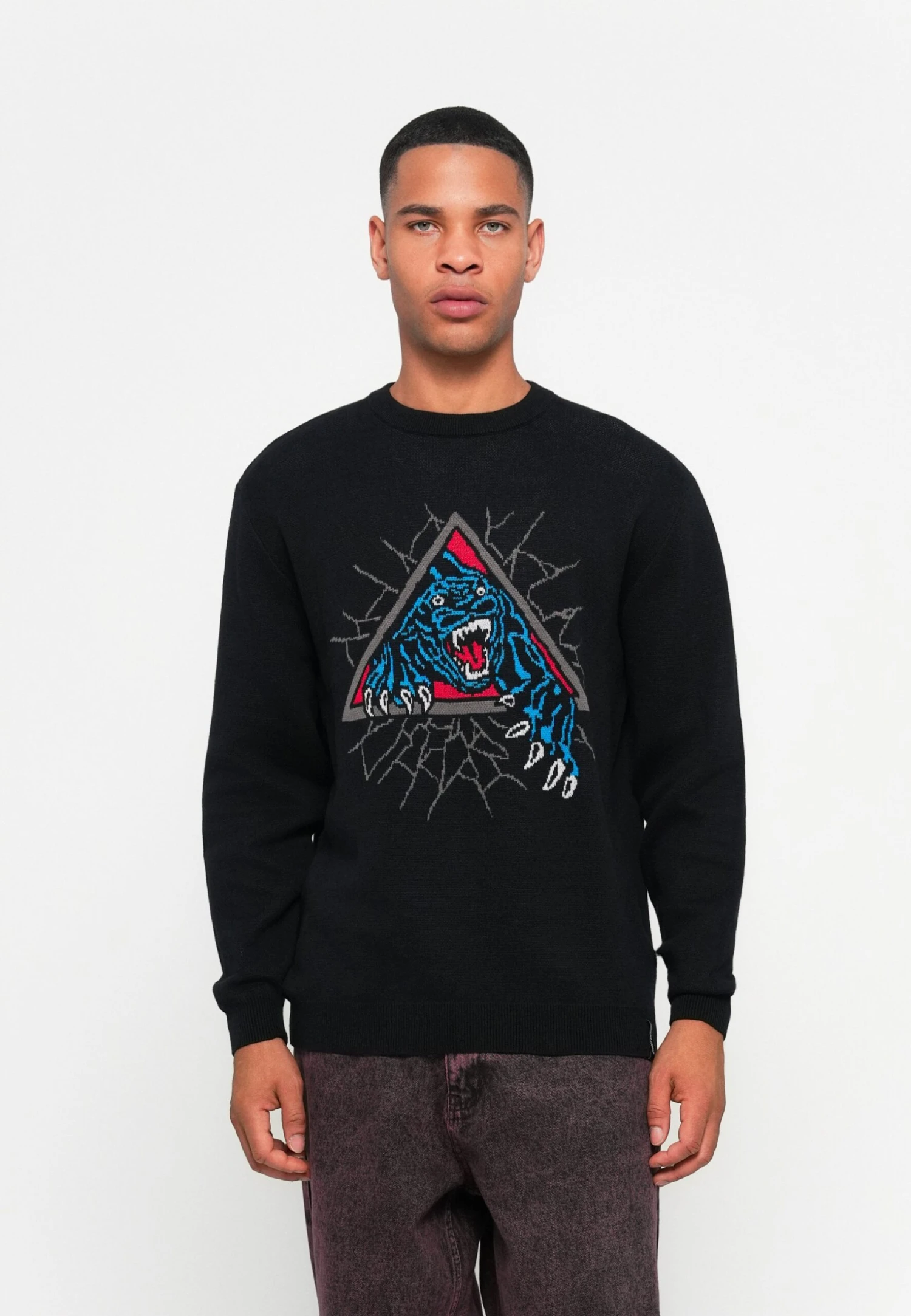 Santa Cruz NATAS PANTHER CREW UNISEX - Jumper - Black 1 Santa Cruz NATAS PANTHER CREW UNISEX - Jumper - Black