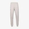 Under Armour Jogginghose - Ghost Gray