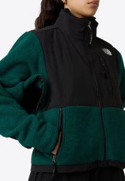 The North Face W RETRO DENALI JACKET - Fleece Jacket - Hunter Green Tnf Black 23 The North Face W RETRO DENALI JACKET - Fleece Jacket - Hunter Green Tnf Black -Friboo Verkauf Geschaft dfa4223b09c9469eaa21edbeec09cfd0