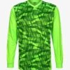 UMBRO CLUB ESSENTIAL COUNTER TORWARTTRIKOT - Torwarttrikot - Green Gecko / Andean Toucan / Black