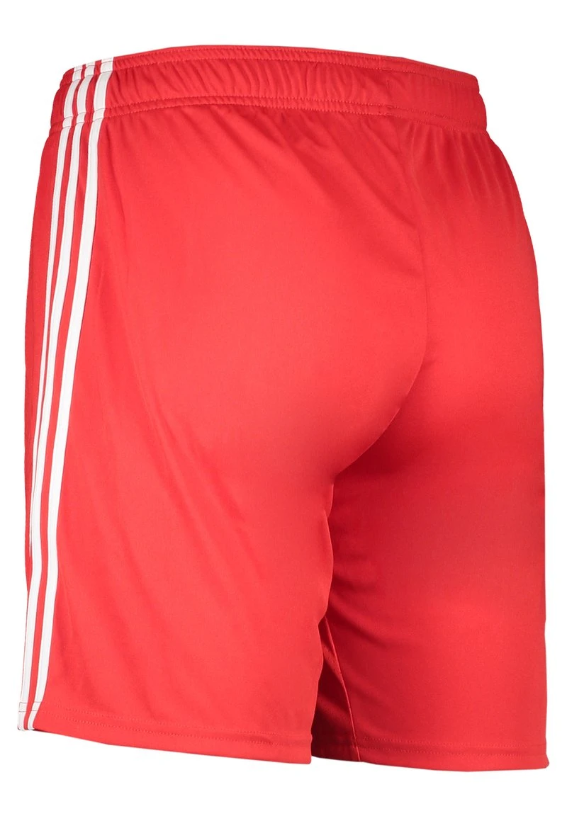 ADIDAS PERFORMANCE FC UNION BERL - Kurze Sporthose - Rot 2 ADIDAS PERFORMANCE FC UNION BERL - Kurze Sporthose - Rot – Bild 2